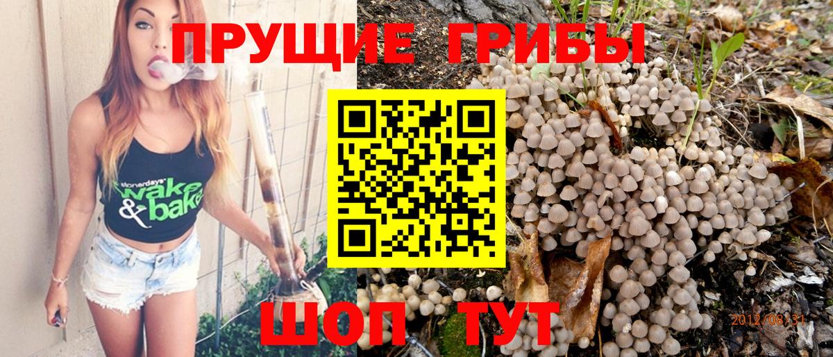Галлюциногенные грибы Magic Shrooms Кирово-Чепецк