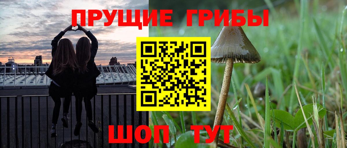 Кирово-Чепецк  Псилоцибиновые грибы Magic Shrooms  Вход с VPN 